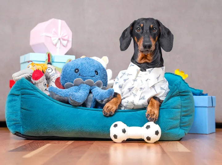 Pet Toys