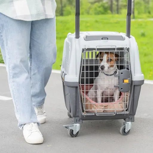 Pet Travel and Outdoor - Noble Nose