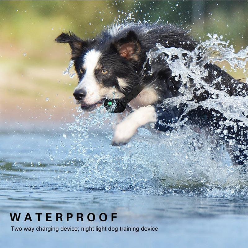 Ultimate Remote Control Dog Training Device