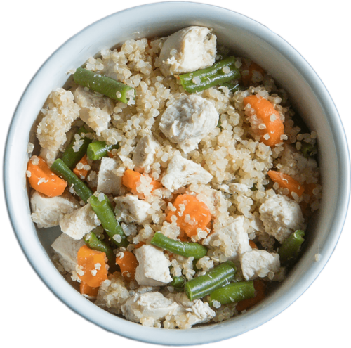 Top Shelf Chicken Dinner for Dogs - Gourmet Nutrition in Every Bite