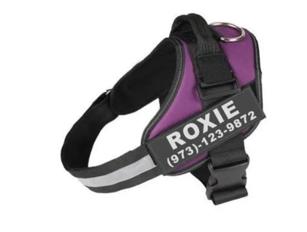 Noble Nose™ Personalized No-Pull Dog Harness – Safe, Comfy & Reflective with Custom Name Patch