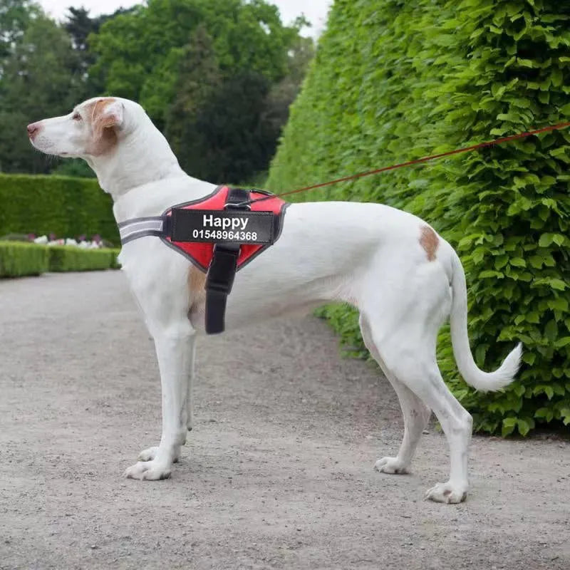 Noble Nose™ Personalized No-Pull Dog Harness – Safe, Comfy & Reflective with Custom Name Patch