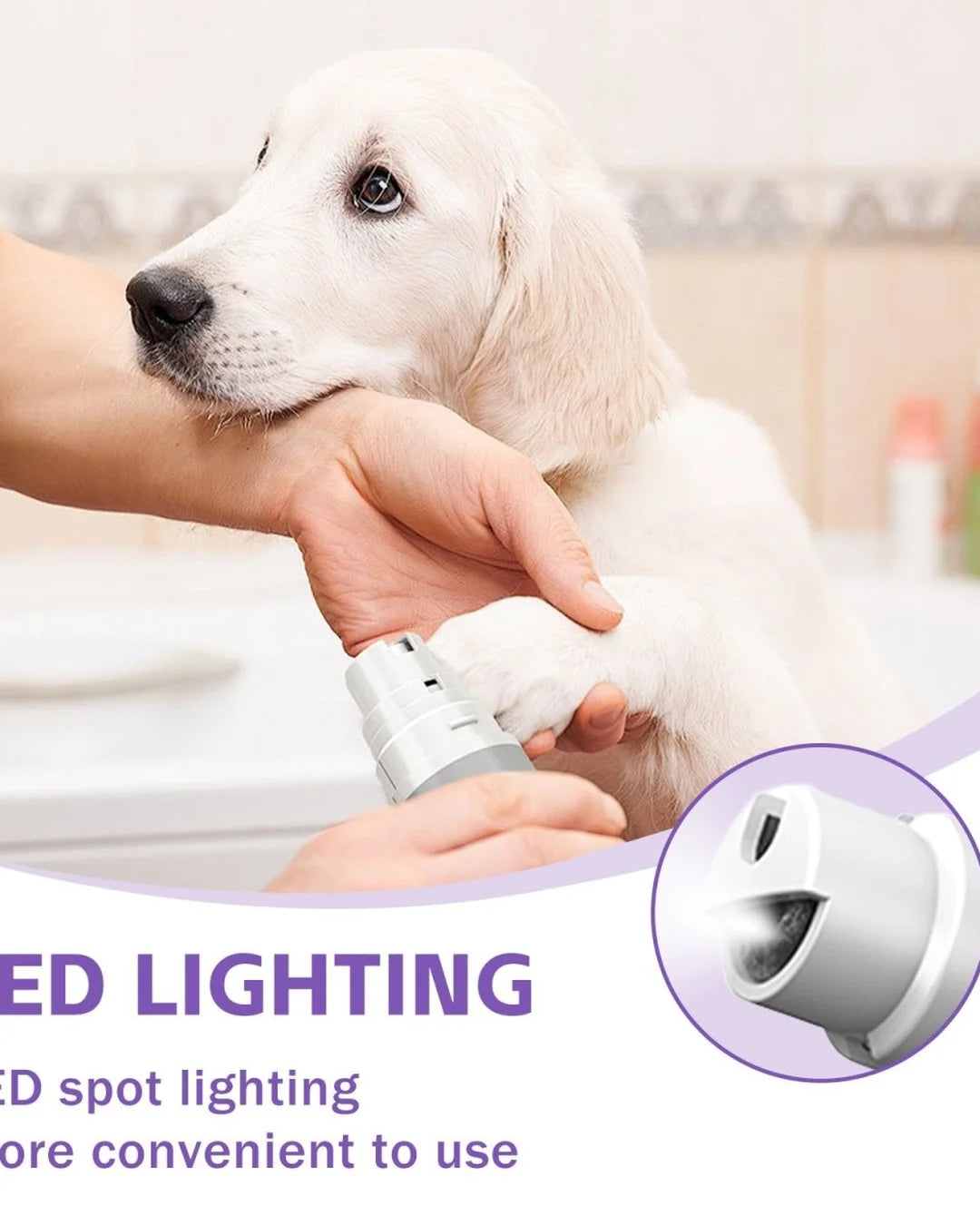 Dog being groomed with a pet nail clipper, emphasizing LED lighting feature.