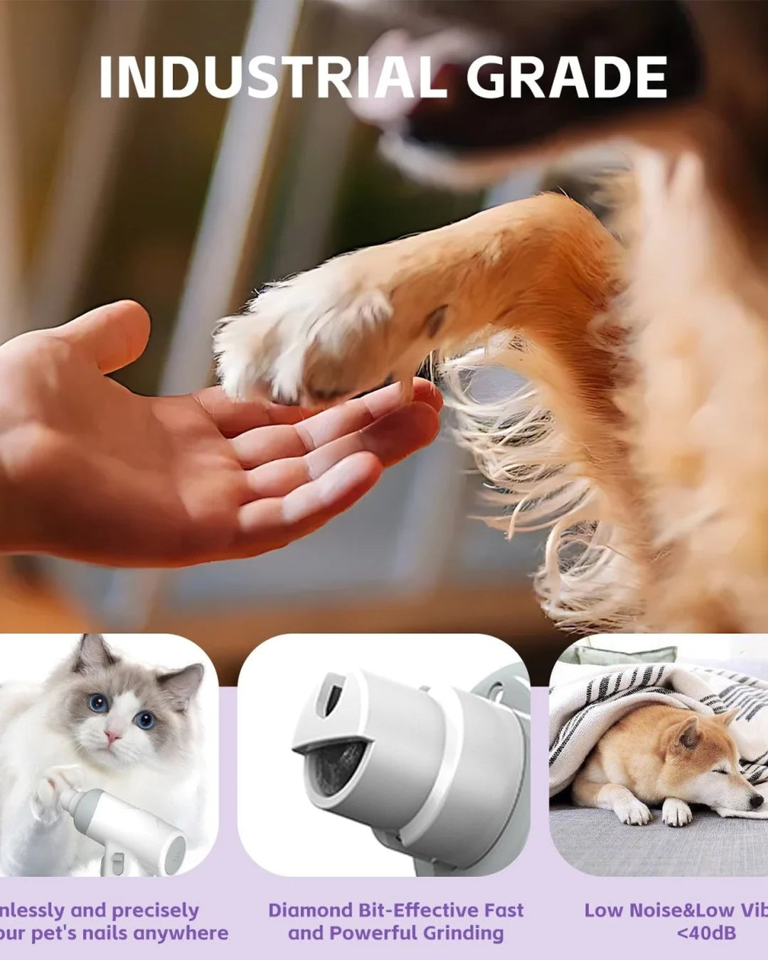 Dog paw being held by a hand with product features highlighted below.