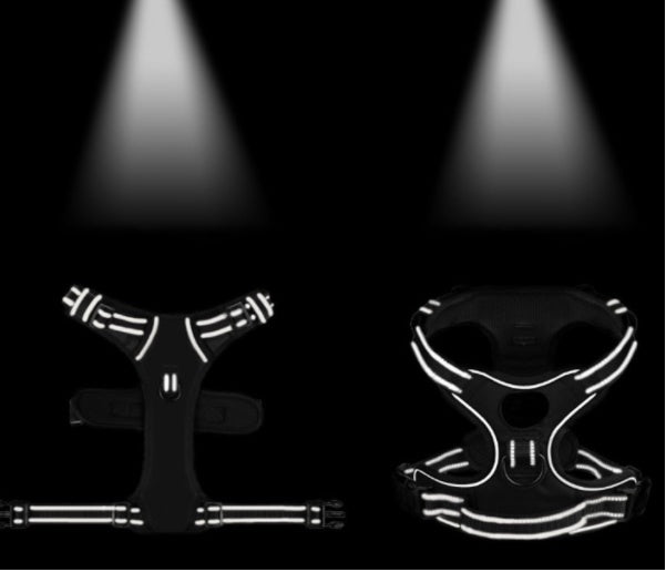 Customised Luxury Breathable Reflective Dog Harness – No - Pull, Adjustable Fit - Noble Nose