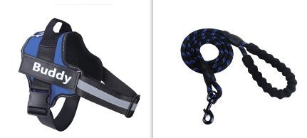 Fashion Simple Pet Leash Chest Strap Set - Noble Nose