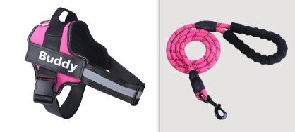 Fashion Simple Pet Leash Chest Strap Set - Noble Nose