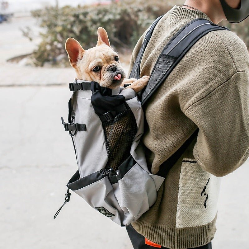 Pet Dog Carrier Bag Carrier For Dogs Backpack Out Double Shoulder Portable Travel Backpack Outdoor Dog Carrier Bag Travel - Noble Nose